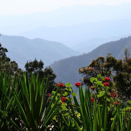 San Jose Del Pacifico- Cabanas Camino Al Cielo 1 Eksteriør bilde