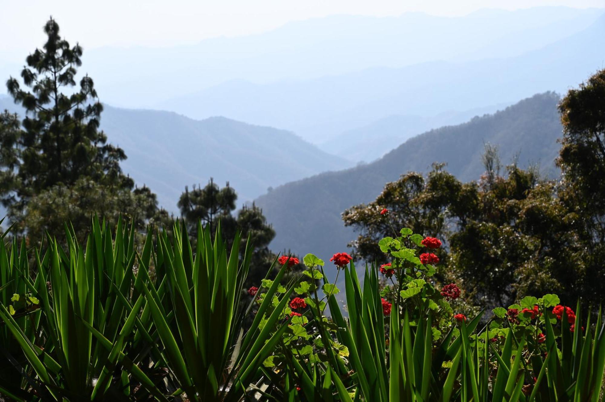 San Jose Del Pacifico- Cabanas Camino Al Cielo 1 Eksteriør bilde